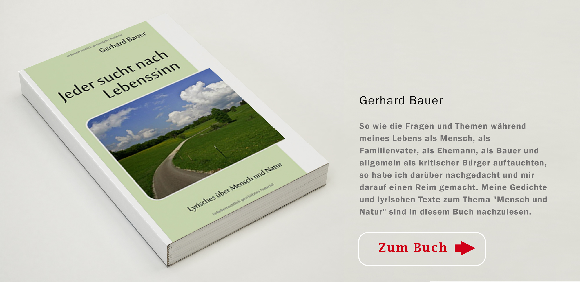 Buch Gerhard Bauer Jeder sucht nach Lebenssinn